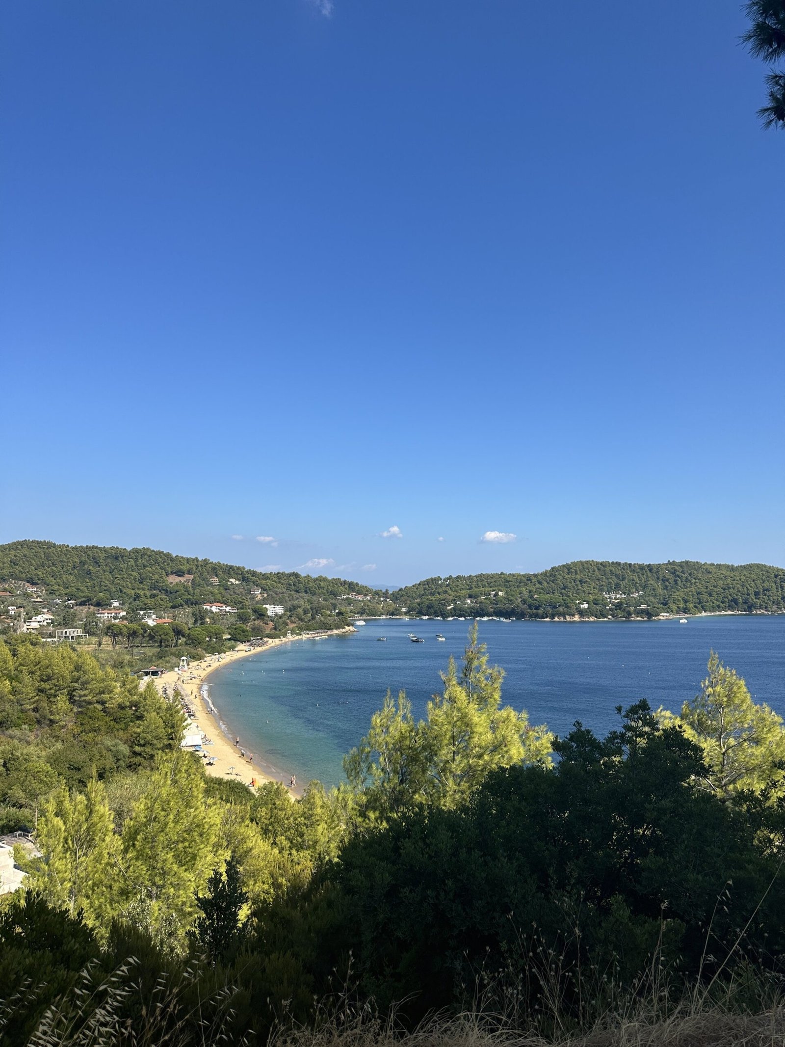 Agia Paraskevi Skiathos Aigis Apartment Skiathos